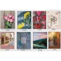  GEDEON P4636 B 10x15/36